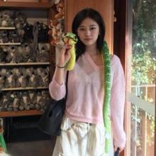 아이브 안유진, 파스텔 핑크와 와이드 팬츠 무대 밖 청순미! 호주에서 즐긴 동물원 나들이룩