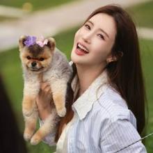 이다해, 상해 예쁜 캠핑 스팟! 반려견과 소풍 셔츠 위에 셔츠 캠핑 피크닉룩